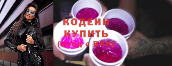 хмурый Снежногорск