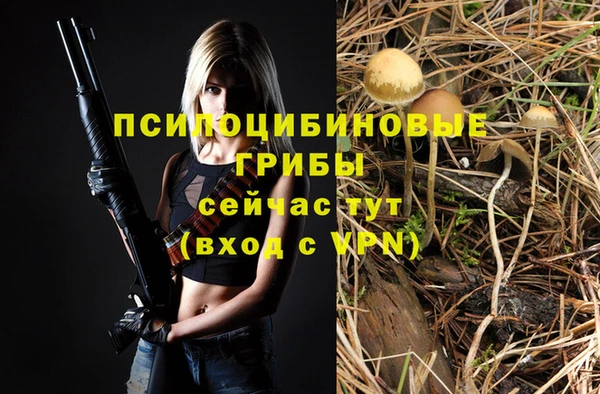 PSILOCYBIN Арсеньев